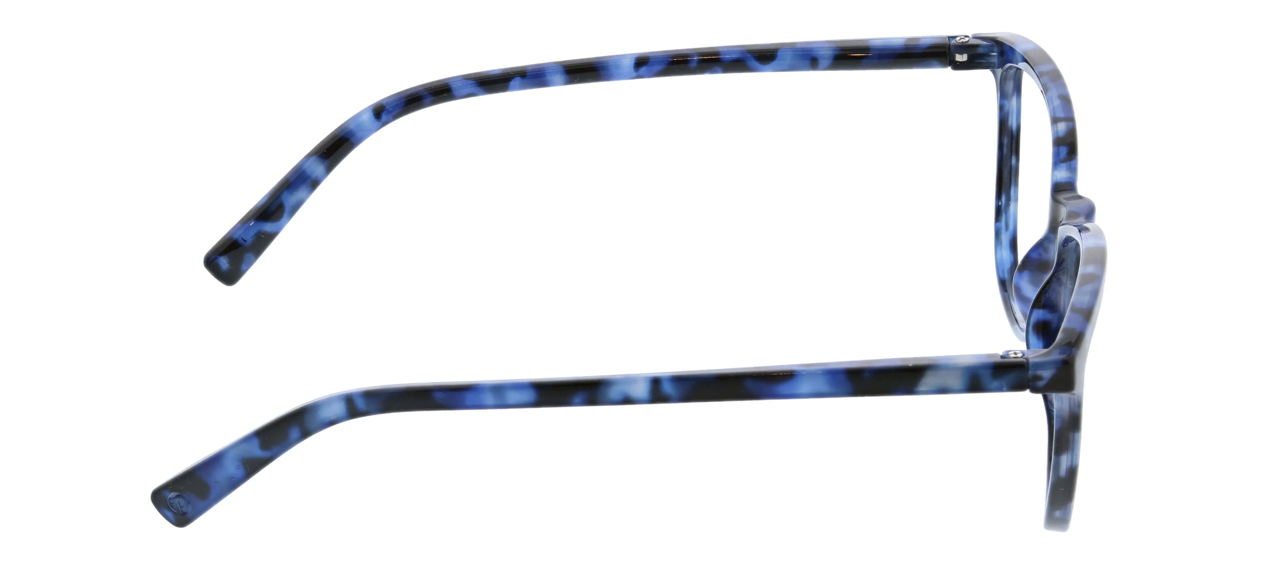 Bengal (Blue Light) - Image 24