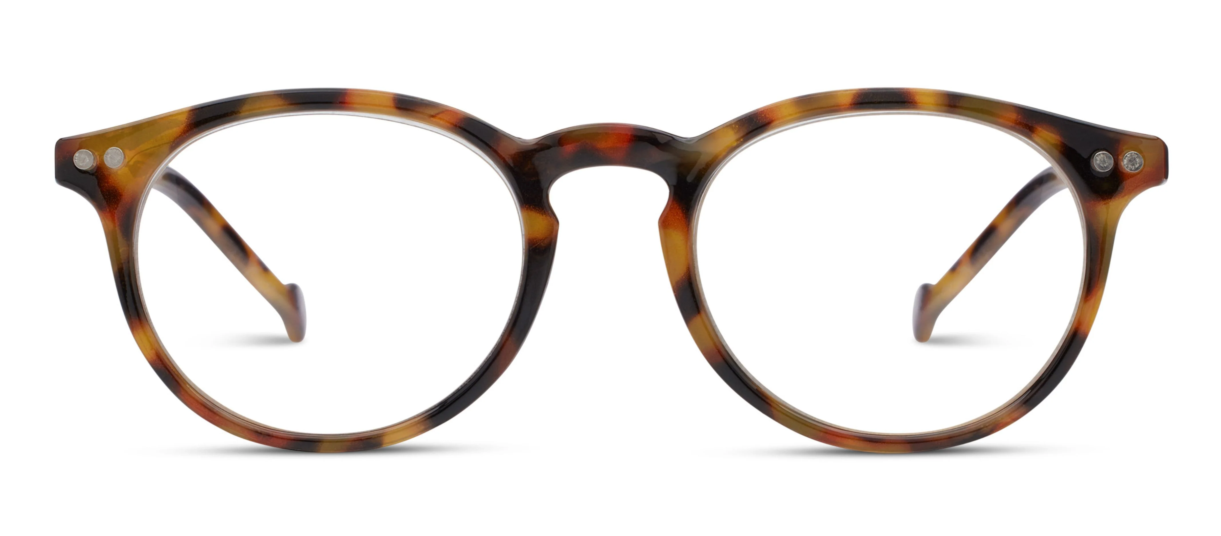 Brain Trust - Image 15