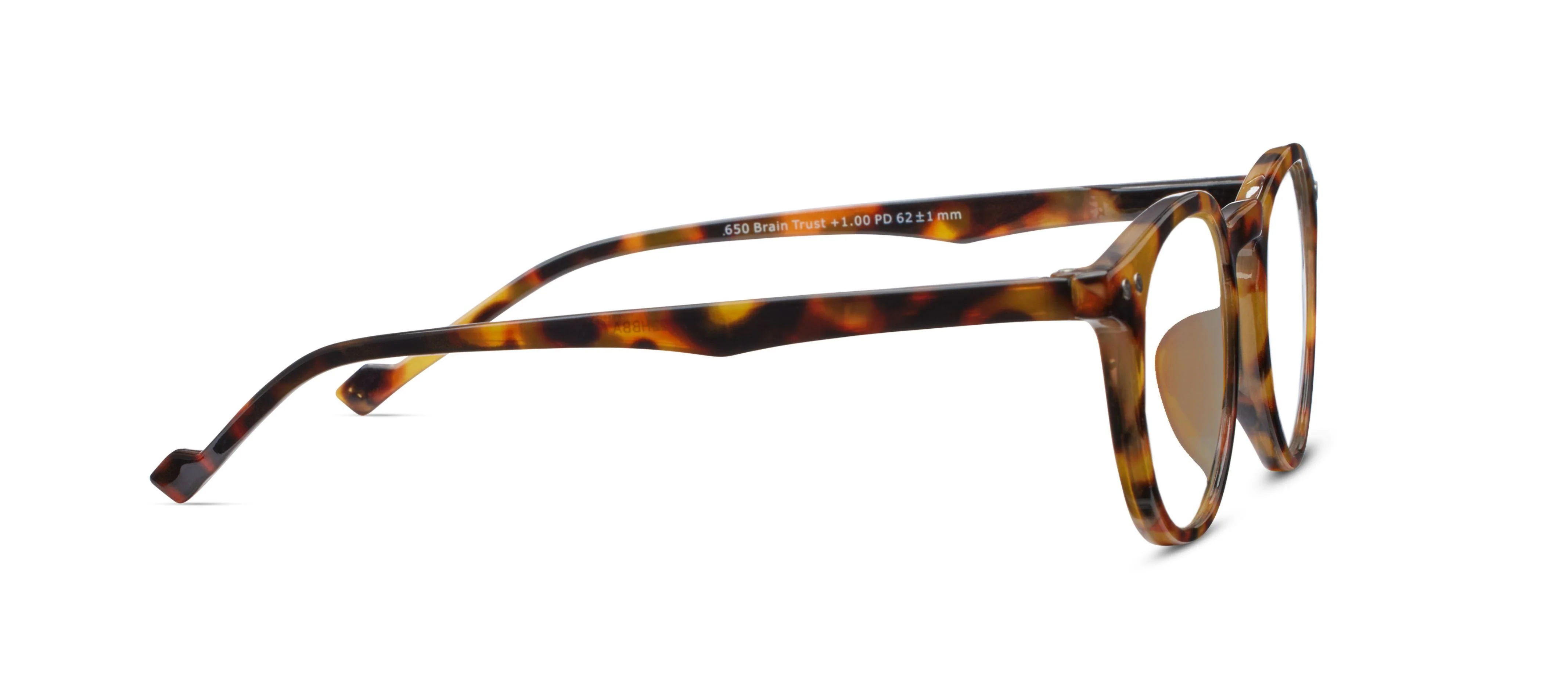 Brain Trust - Image 16