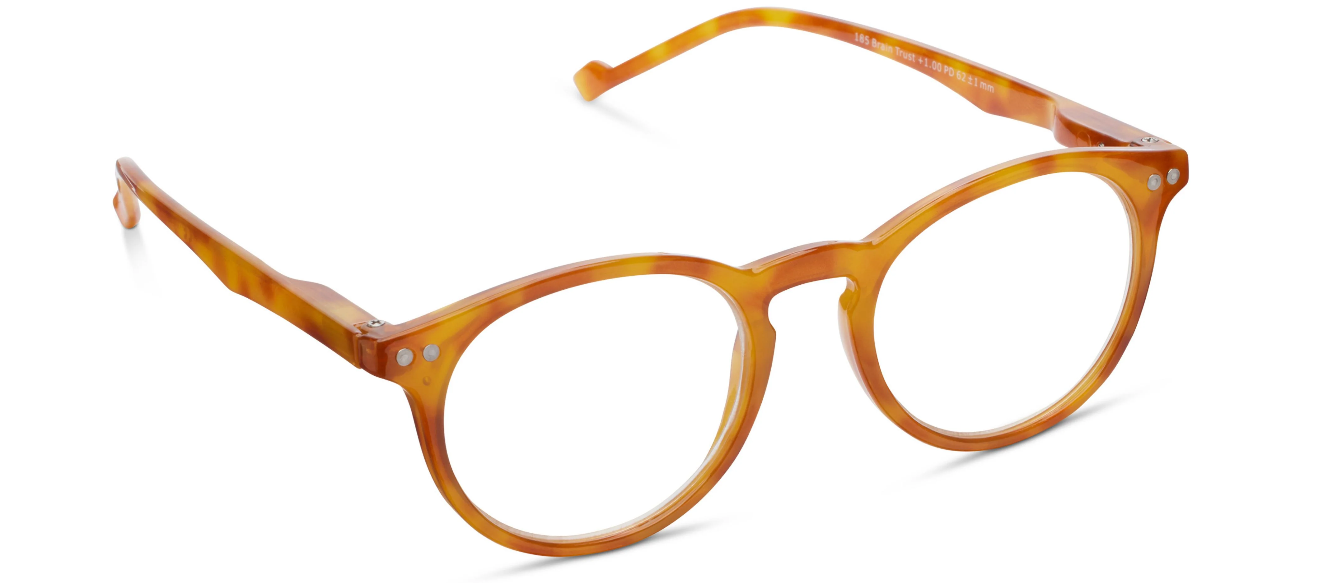 Brain Trust - Image 18