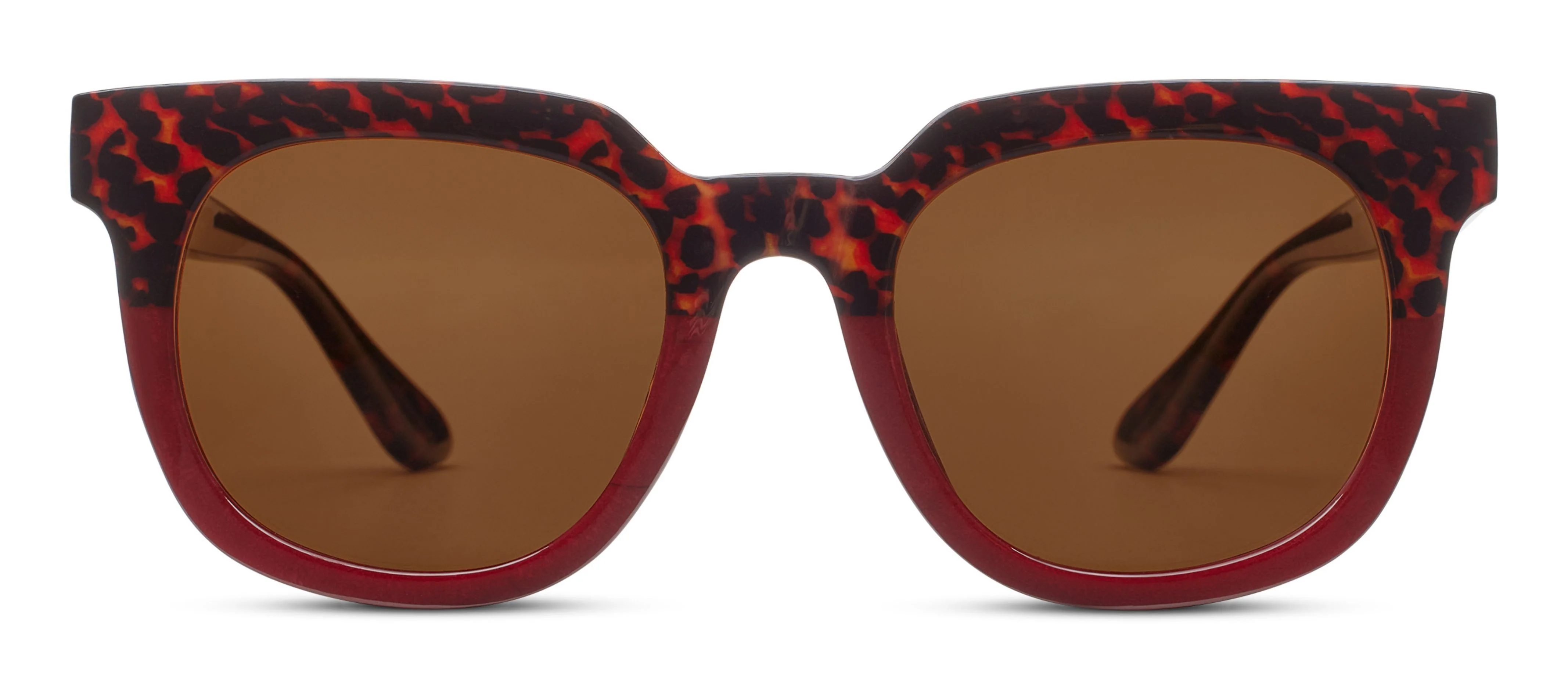 Carpe Diem - Image 3