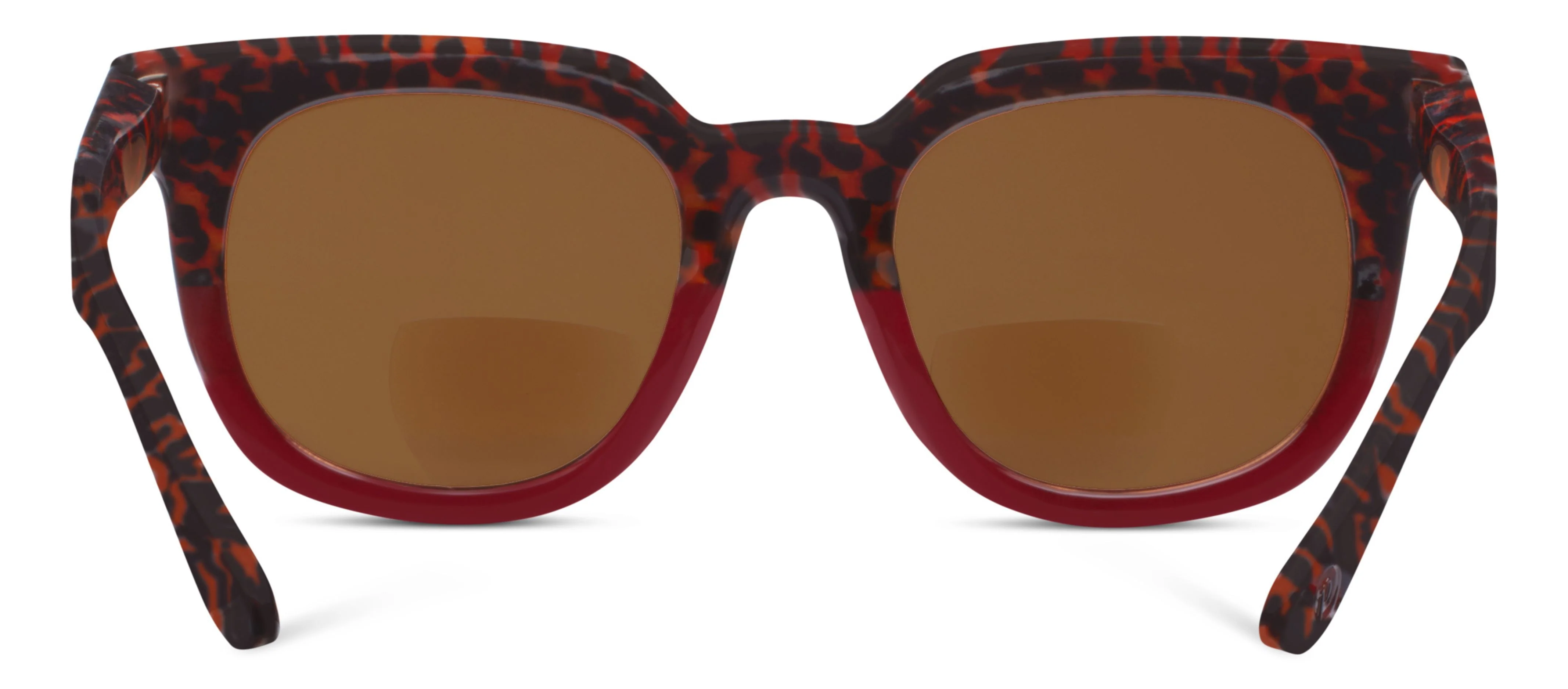 Carpe Diem - Image 4