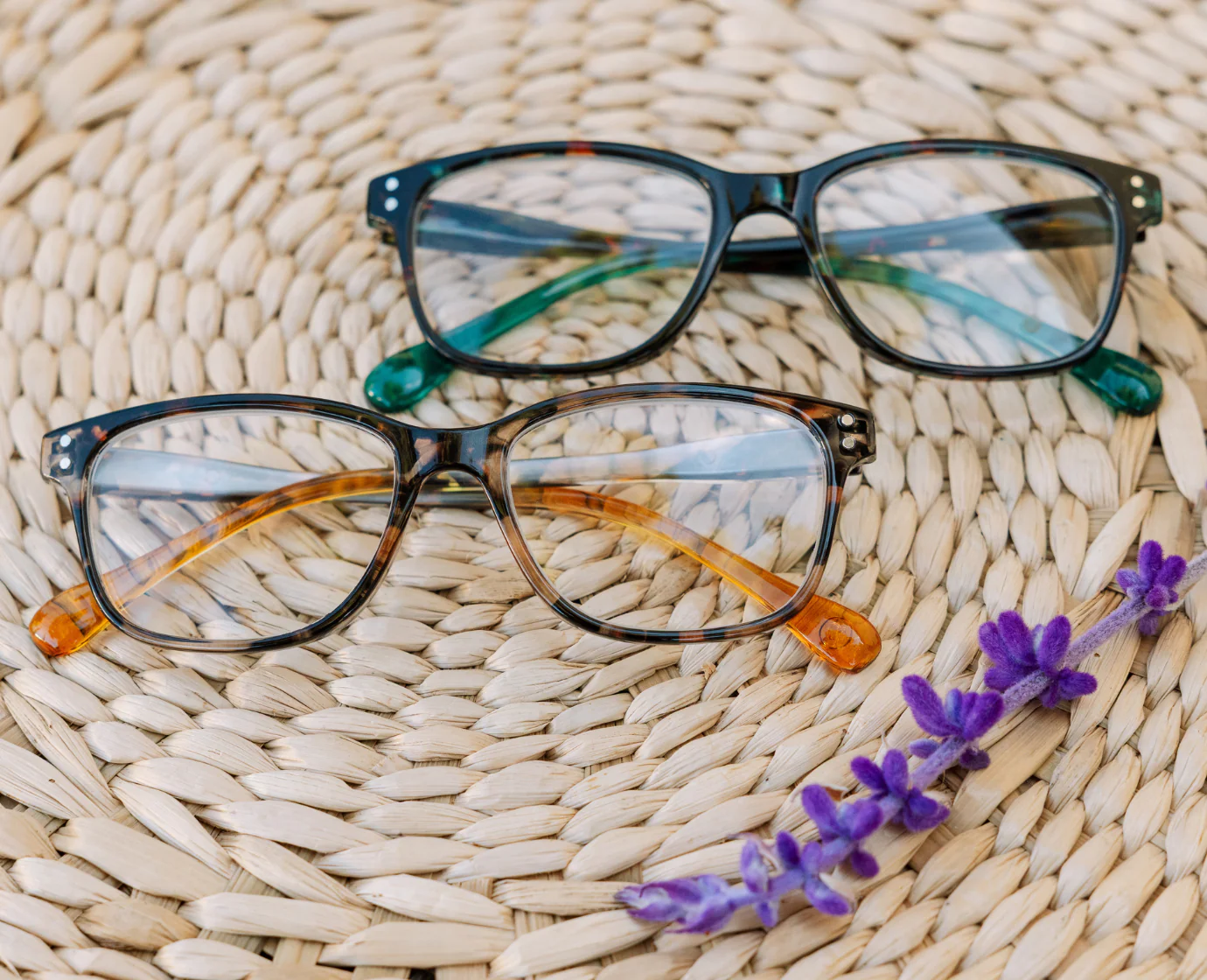 Nature Walk - Image 13