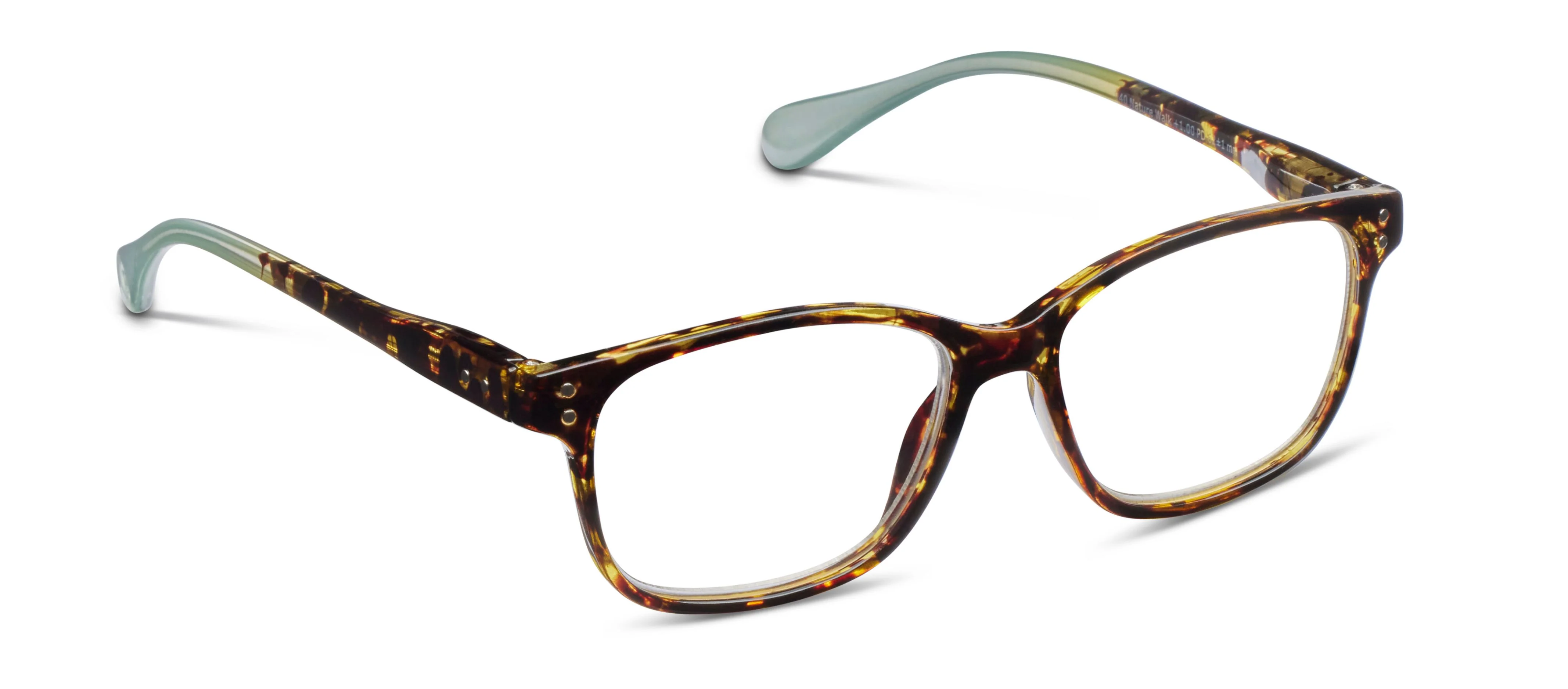 Nature Walk - Image 33