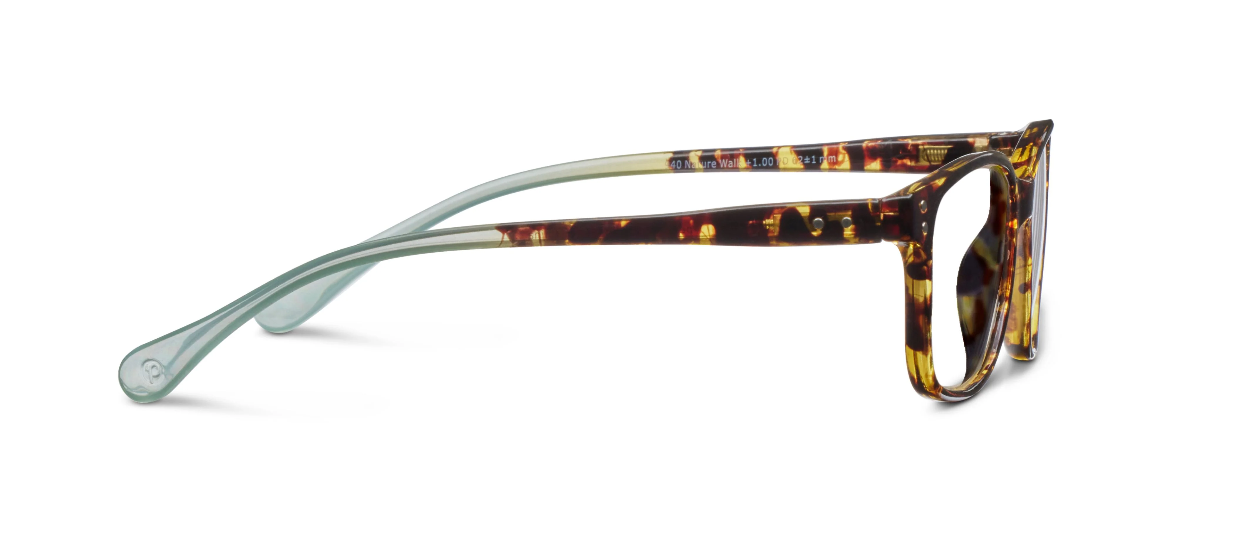 Nature Walk - Image 35